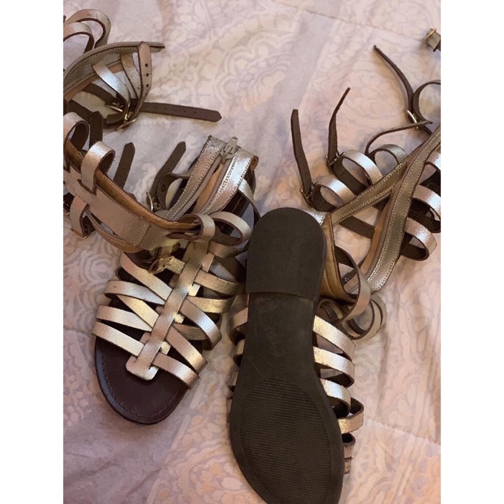 Steve Madden gladiator sandals